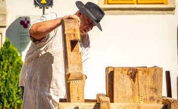 FOTO: Vinobranie Pezinok 2025