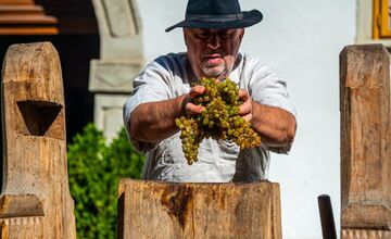 FOTO: Vinobranie Pezinok 2025