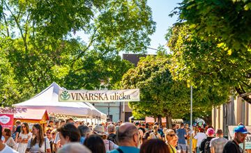 FOTO: Vinobranie Pezinok 2025