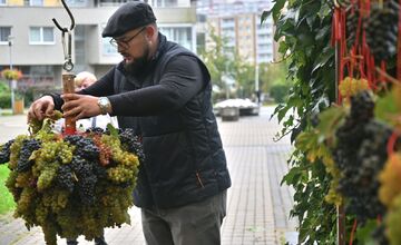 FOTO: Karloveské hody opäť prilákali stovky návštevníkov. Takáto atmosféra tam panovala