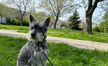 FOTO: Psíčkari sa podelil s fotkami svojich miláčikov