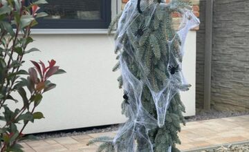 FOTO:  Halloweenska výzdoba