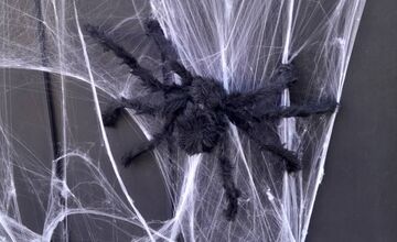 FOTO:  Halloweenska výzdoba