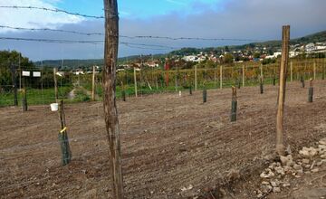 FOTO: Nelegálny plot v Rači