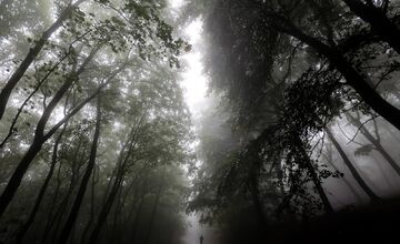 FOTO: Jeseň v Devínskej Novej Vsi