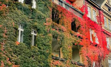 FOTO: Tento dom fascinuje ľudí každý rok