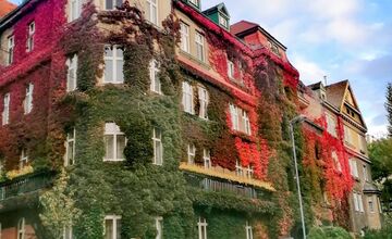 FOTO: Tento dom fascinuje ľudí každý rok