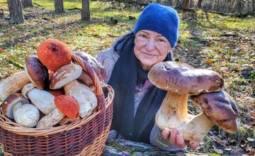 FOTO: „Ešte stále rastú!“ Hubári sa tešia z nečakane dlhej sezóny na Záhorí