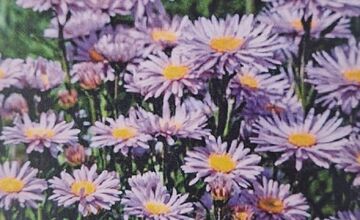 FOTO: Pešia zóna vo Vrakuni prejde obnovou