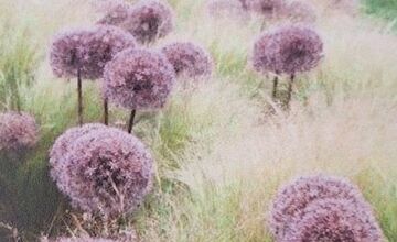 FOTO: Pešia zóna vo Vrakuni prejde obnovou