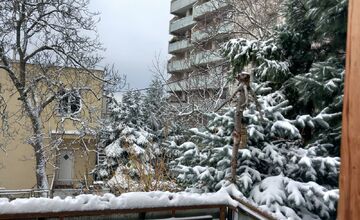 FOTO: Na Bratislavu spadol tohtoročný prvý sneh