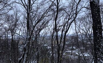 FOTO: Na Bratislavu spadol tohtoročný prvý sneh