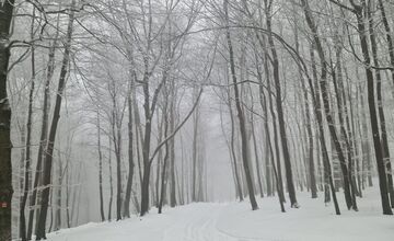 FOTO: Bežecký areál strediska Pezinská Baba už možno využiť na bežkovanie