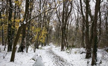 FOTO: V Petržalke sa tešia prvej snehovej nádielke