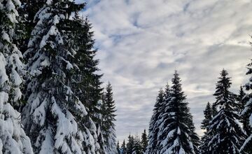FOTO: Slováci zdieľajú zimné turistické skvosty