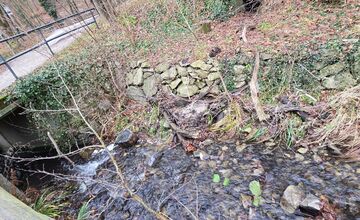 FOTO: Úhyn rýb na Železnej studničke