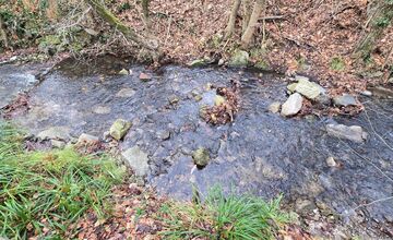 FOTO: Úhyn rýb na Železnej studničke