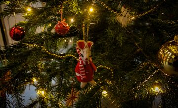 FOTO: Vianočná električka v Bratislave 2025