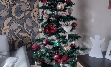 FOTO: Vianočné stromčeky Bratislavčanov