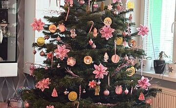 FOTO: Vianočné stromčeky Bratislavčanov