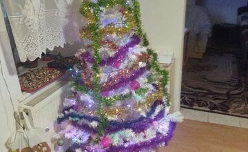 FOTO: Vianočné stromčeky Bratislavčanov