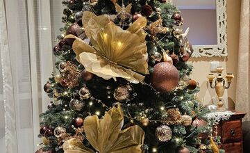 FOTO: Vianočné stromčeky Bratislavčanov