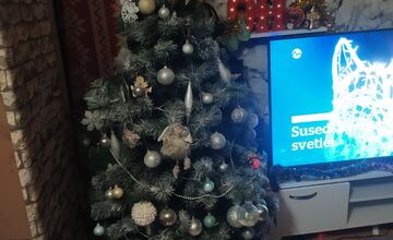 FOTO: Vianočné stromčeky Bratislavčanov