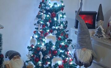 FOTO: Vianočné stromčeky Bratislavčanov