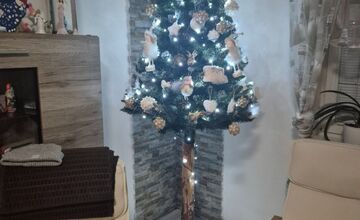 FOTO: Vianočné stromčeky Bratislavčanov