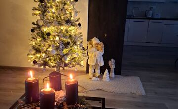 FOTO: Vianočné stromčeky Bratislavčanov