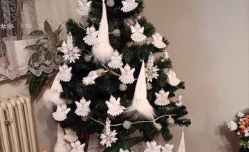 FOTO: Vianočné stromčeky Bratislavčanov