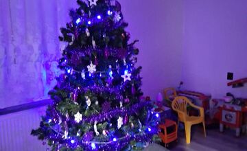 FOTO: Vianočné stromčeky Bratislavčanov