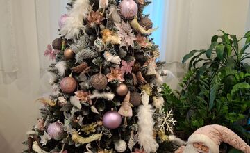 FOTO: Vianočné stromčeky Bratislavčanov