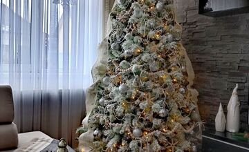 FOTO: Vianočné stromčeky Bratislavčanov