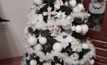 FOTO: Vianočné stromčeky Bratislavčanov