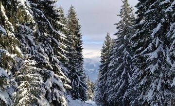 FOTO: Najkrajšie zimné scenérie, aké Slovensko ponúka