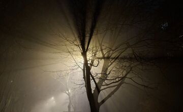 FOTO: Bratislava zahalená hmlou