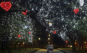 FOTO: Valentínska výzdoba v parku A. Hlinku