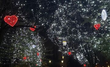 FOTO: Valentínska výzdoba v parku A. Hlinku