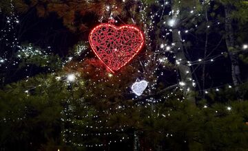 FOTO: Valentínska výzdoba v parku A. Hlinku