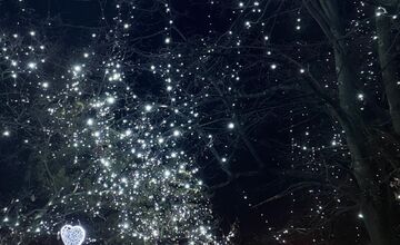 FOTO: Valentínska výzdoba v parku A. Hlinku