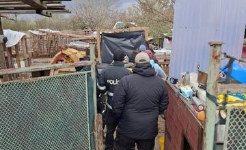 FOTO: Policajti ratovali týraných psov. V Záhorskej Vsi odoberali žene 56 psov osem hodín