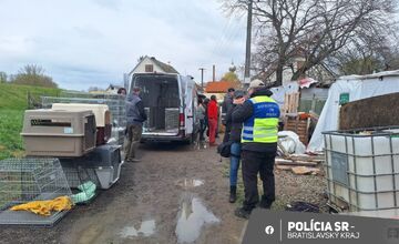 FOTO: Policajti ratovali týraných psov. V Záhorskej Vsi odoberali žene 56 psov osem hodín