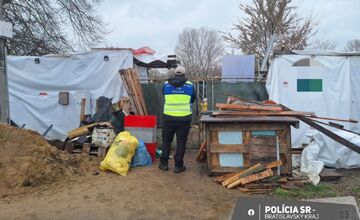 FOTO: Policajti ratovali týraných psov. V Záhorskej Vsi odoberali žene 56 psov osem hodín
