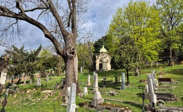 FOTO: Bratislavou sa šíria reči o zavretí Mikulášskeho cintorína. Aká je pravda? 