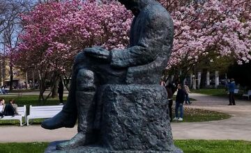 FOTO: Najkrajšie magnólie v Bratislave a okolí