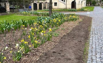 FOTO: Park vStupave len otvorili a už ho devastujú, ozval sa župan Droba