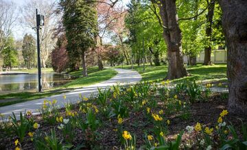 FOTO: Park vStupave len otvorili a už ho devastujú, ozval sa župan Droba